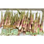 fu.... налог овощи вид дикоросы Yamagata префектура Tsuruoka город . мир 8 год производство предшествующий предварительный заказ месяц гора .M~L размер 1kg Yamagata префектура Tsuruoka производство Grace ферма 