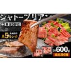 牛肉 焼肉 バーベキュー シャトーブリアン入り
