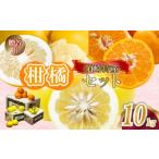 ふるさと納税 みかん・柑橘類 高知県 須崎市  定期便3回 限定 20セット 訳あり 各10kg 家庭用 定期便 大小混合 果物 定期便 ぽんかん 土佐 文旦 小夏 セット …