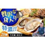 ふるさと納税 牡蠣 生牡蠣 広島県 江田島市 3月25日(水)着 高品質の牡蠣を産地直送 生牡蠣 着日指定可能 『てつまるかき』牡蠣 殻付き 20個 加熱用 かき 海…