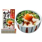 調味料 油 たれ 山芋ねばねば丼のたれ 90g×10袋
