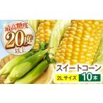 とうもろこし 2Lサイズ 10本