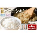 ふるさと納税 米 ササ