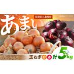 野菜類 玉ねぎ 白 赤 セット 計5kg