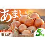 野菜類 玉ねぎ 5kg