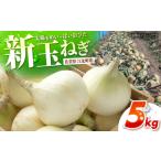 野菜類 玉ねぎ 新玉ねぎ 5kg