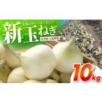 野菜類 玉ねぎ 新玉ねぎ 10kg
