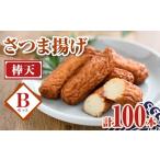 かまぼこ 練り製品 さつまあげ A10007