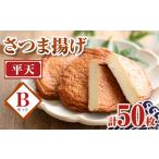 かまぼこ 練り製品 さつまあげ A10005