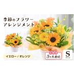 花 定期便 3ヶ月連続お届け カラー 季節のフラワーアレンジ…