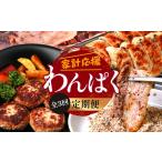 肉 ハンバーグ 定期便全3回 ひかり麦豚 わんぱく定期便