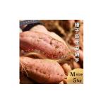 野菜類 サツマイモ 新物 11月~ 種子島 めっかり申さん