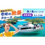 体験チケット 辰ノ島クルージング 辰ノ島遊覧渡船