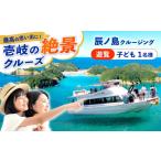体験チケット 辰ノ島クルージング 辰ノ島遊覧