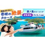 体験チケット 辰ノ島クルージング 辰ノ島遊覧渡船