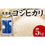 ふるさと納税 米 コシ