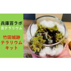 花 苗木 天空の城 竹田城跡 をイメージした苔テラリウムキ…