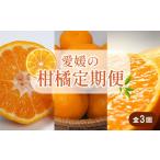 果物類 みかん 全3回 柑橘定期便 せとか 神ポン