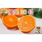 ふるさと納税 果物類 みかん 愛媛県 松山市  特選 愛果28号 約3kg 12月上旬~1月中旬頃発送予定 | 愛媛 みかん あいか あいか28号 愛果 愛果28号 紅マドンナ 紅…