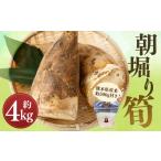 fu.... налог овощи вид дикоросы Kumamoto префектура . замок блок ограниченное количество утро ...4kg Kumamoto префектура производство рис ( примерно 500g) имеется 2026 год 3 месяц сверху .~4 месяц последняя декада до отправка предположительно 