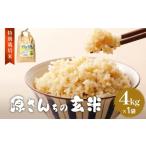 ふるさと納税 玄米 大分県 玖珠町 令和7年度産 原さんちの玄米 玄米 4kg ヒノヒカリ 有機質肥料 特別栽培米 原農園 完熟堆肥 アートテン農法 抗酸化農法 有効…