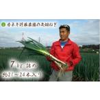 fu.... налог овощи вид лук порей Chiba префектура Мацудо город kaneki близко глициния сельское хозяйство . стрела порез лук-батун ... очень толстый 