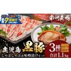 豚肉 ロース スピード発送 黒豚しゃぶしゃぶ&味噌漬けセット