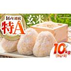 地域のお礼の品 さがびより 玄米 10kg