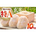 地域のお礼の品 さがびより 玄米 10kg