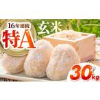 地域のお礼の品 さがびより 玄米 30kg
