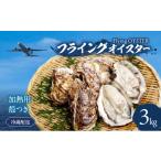 fu.... налог .. сырая устрица Osaka (столичный округ) Kishiwada город . имеется ..3kg нагревание для сырая устрица ( примерно 33 шт ~54 шт ) flying устрица предшествующий предварительный заказ кулинария способ имеется .. устрица . море. ....