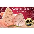 ぶどう いちご 白いちご 計 400g