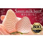 いちご 白いちご 計 800g