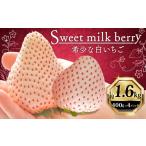 いちご 白いちご 計 1.6kg