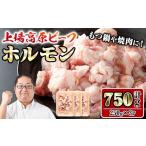 牛肉 ホルモン i1156 上場高原ビーフ