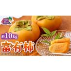 梨 つくばみらい市 富有柿 約10kg