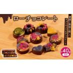 菓子 チョコレート 話題沸騰 ローチョコレート 10個