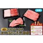 牛肉 セット 定期便3ヵ月 A5等級 那須黒毛和牛