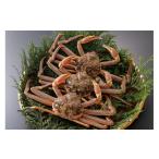 ふるさと納税 カニ 松葉ガニ 鳥取県 八頭町  活物 訳あり 松葉がに 400g超 お手頃サイズ　3杯