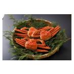 ふるさと納税 カニ 松葉ガニ 鳥取県 八頭町  ボイル 訳あり 松葉がに 400g超 お手頃サイズ　3杯