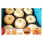 ショッピングふるさと納税 訳あり 傷 ふるさと納税 りんご 青森県 弘前市  寄附金額見直しました 26年11月下旬発送 りんご 金星（有袋） 訳あり 家庭用 約5kg りんご 金星 有袋 訳あり 家庭用 5kg …