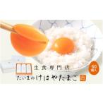 たいまのけはやたまご 60個入り