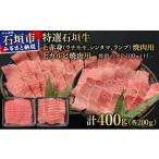 牛肉 希少な特選石垣牛をご家庭で 上赤身