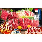 馬肉 純 熊本 馬刺し 5種類 600g