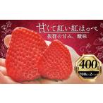 紅ほっぺ いちご 苺 400g