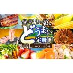 うなぎ 渥美半島の恵み どうまい 定期便 全3回