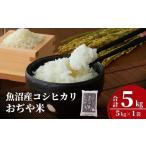 ふるさと納税 米 コシ