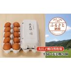 卵 鶏 烏骨鶏等 平飼い天美卵20個〈大江ノ郷自然牧場より直…