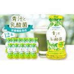 炭酸飲料 青汁と乳酸菌 12本セット 1664199