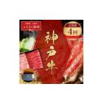 牛肉 セット 和牛セレブ 神戸牛 定期便 エコノミークラス